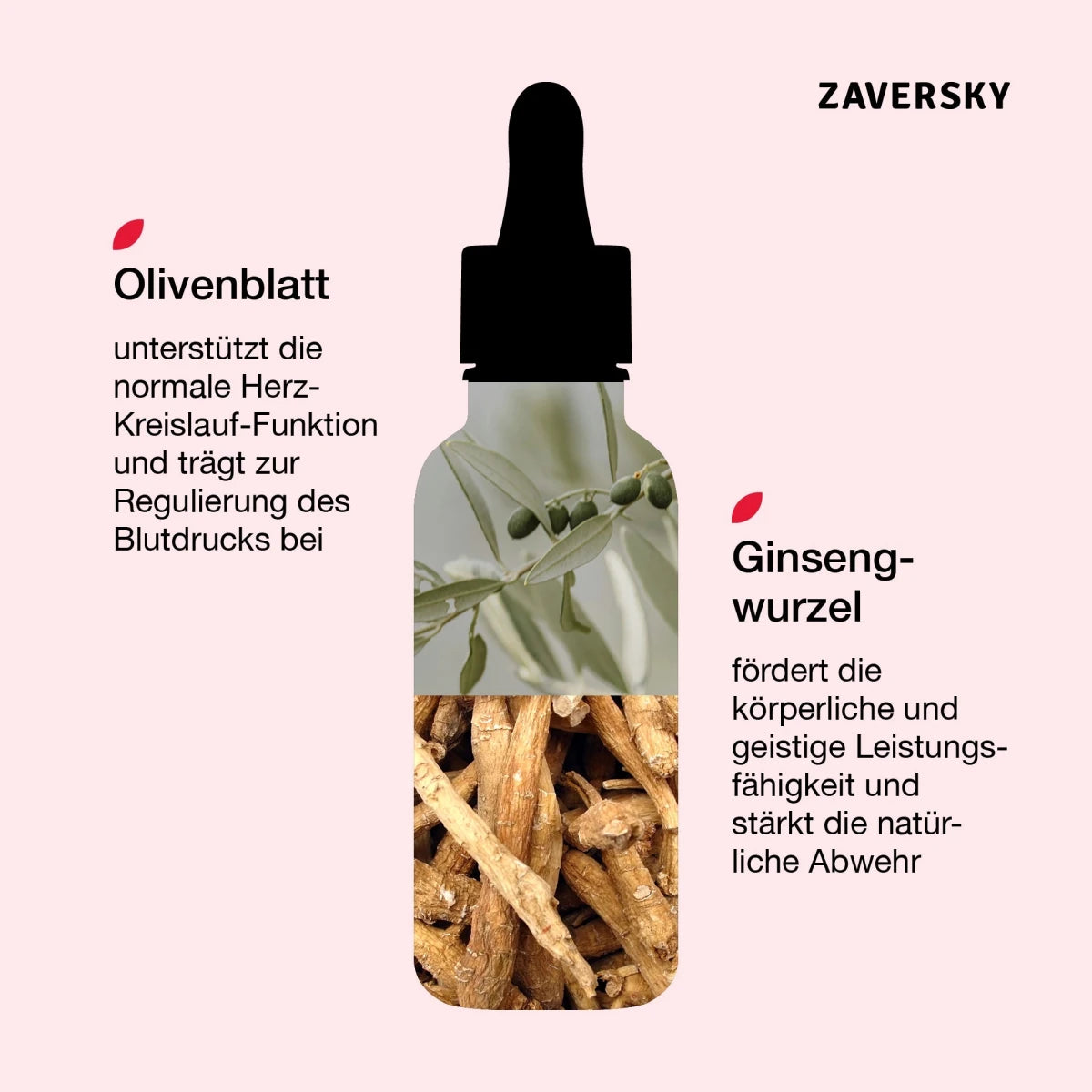 Zaversky Infografik mit Tropfflasche-Silhouette, gefüllt mit Olivenblättern und Ginsengwurzeln, samt Beschreibung der pflanzlichen Inhaltsstoffe