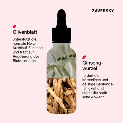 Zaversky Infografik mit Tropfflasche-Silhouette, gefüllt mit Olivenblättern und Ginsengwurzeln, samt Beschreibung der pflanzlichen Inhaltsstoffe